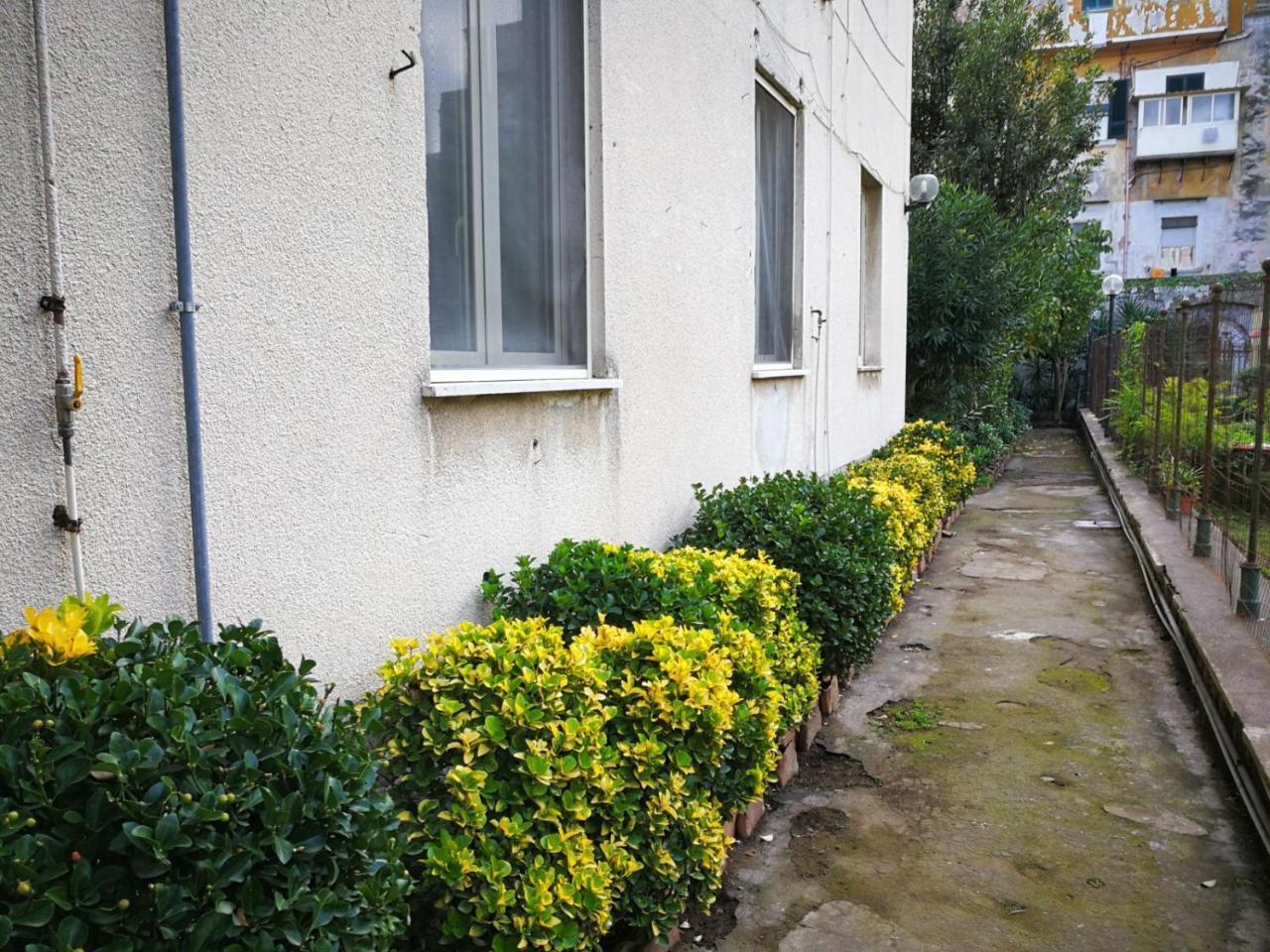 Alojamento de Acomodação e Pequeno-almoço Il Giardino Di Vico Neve
