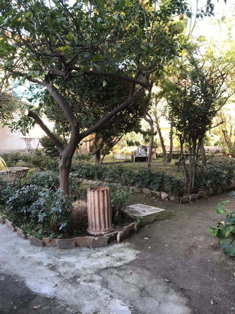 Frühstückspension Il Giardino Di Vico Neve