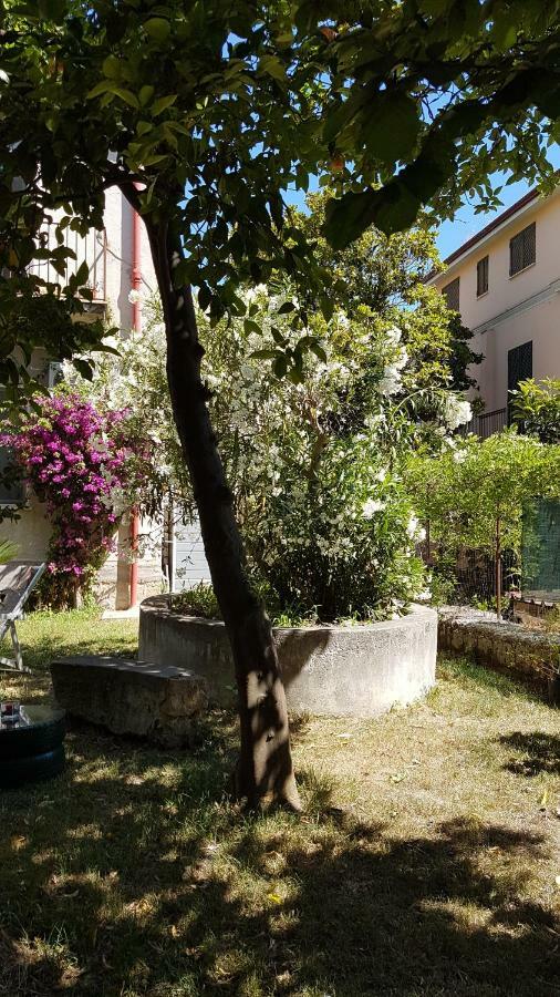 Il Giardino Di Vico Neve Neapel